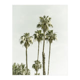 Palm Trees Summertime  (Print Only) thumbnail
