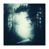 passage (Print Only) thumbnail
