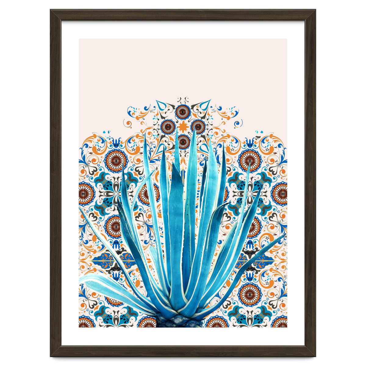 Cactus and Moroccan tiles