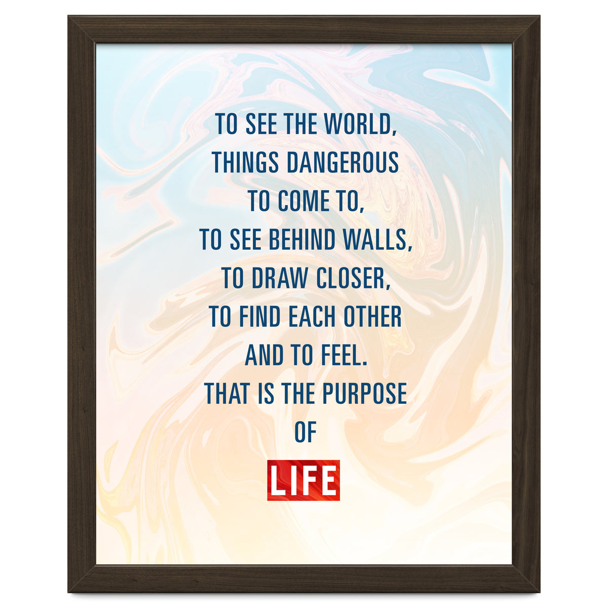 Secret Life of Walter Mitty