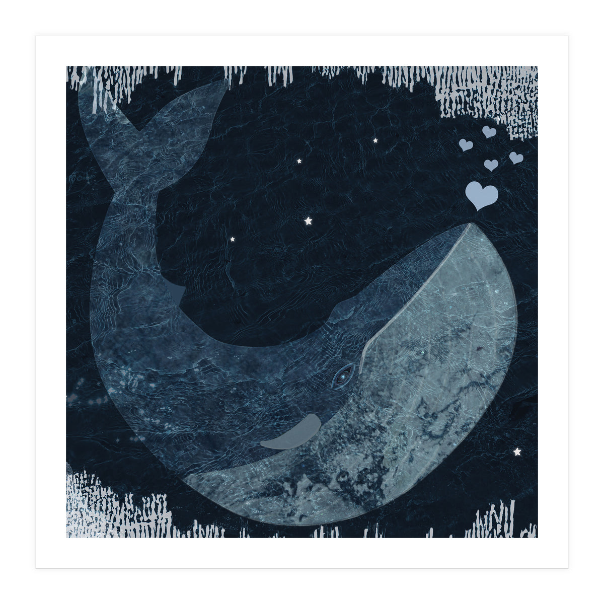 Whalelove (Print Only)
