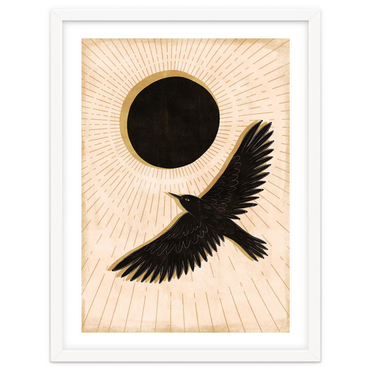 Raven And A Black Sun