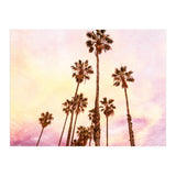 Coconut Groove (Print Only) thumbnail