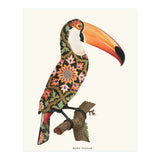 Boho Toucan (Print Only) thumbnail