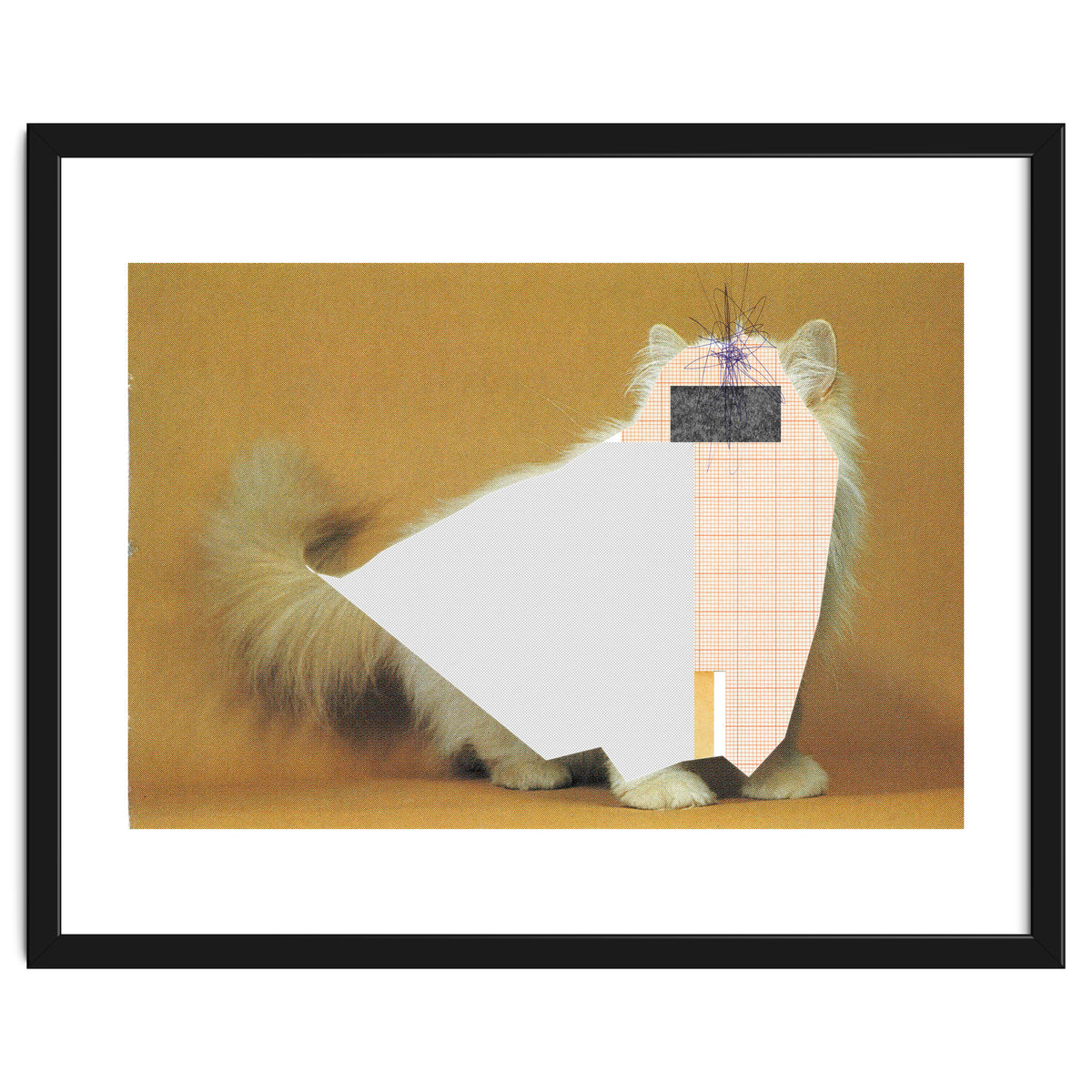 Content Of The Cat 1