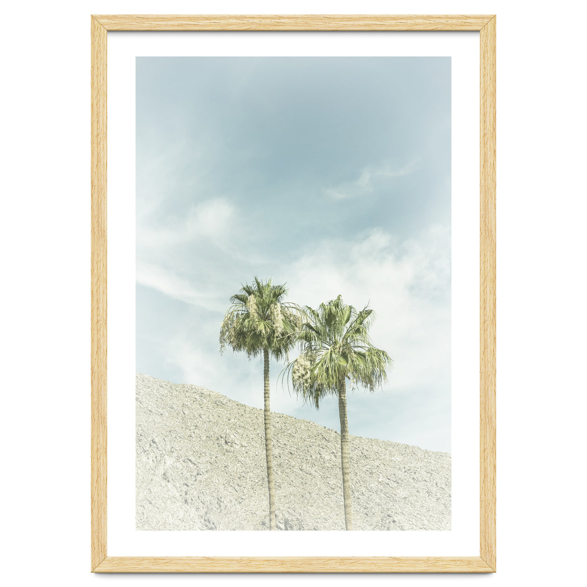 Palm Trees in the desert | Vintage