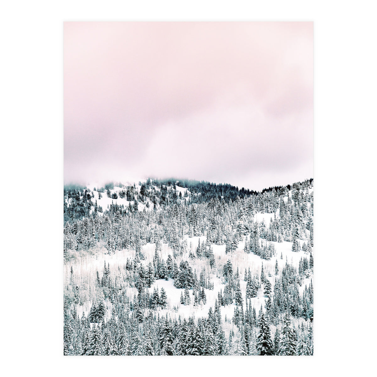 Snow Season (Print Only)