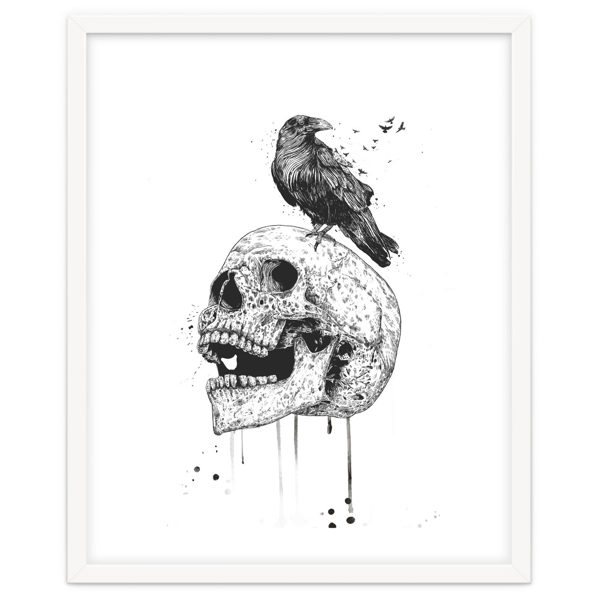 New Skull (bw)