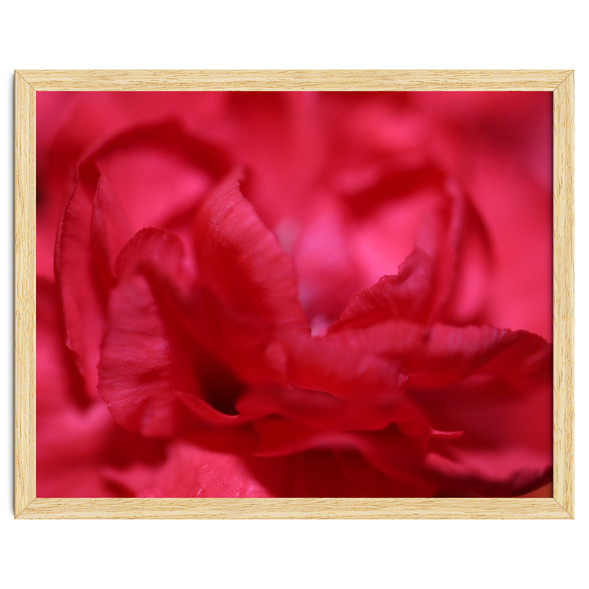 Red Peony