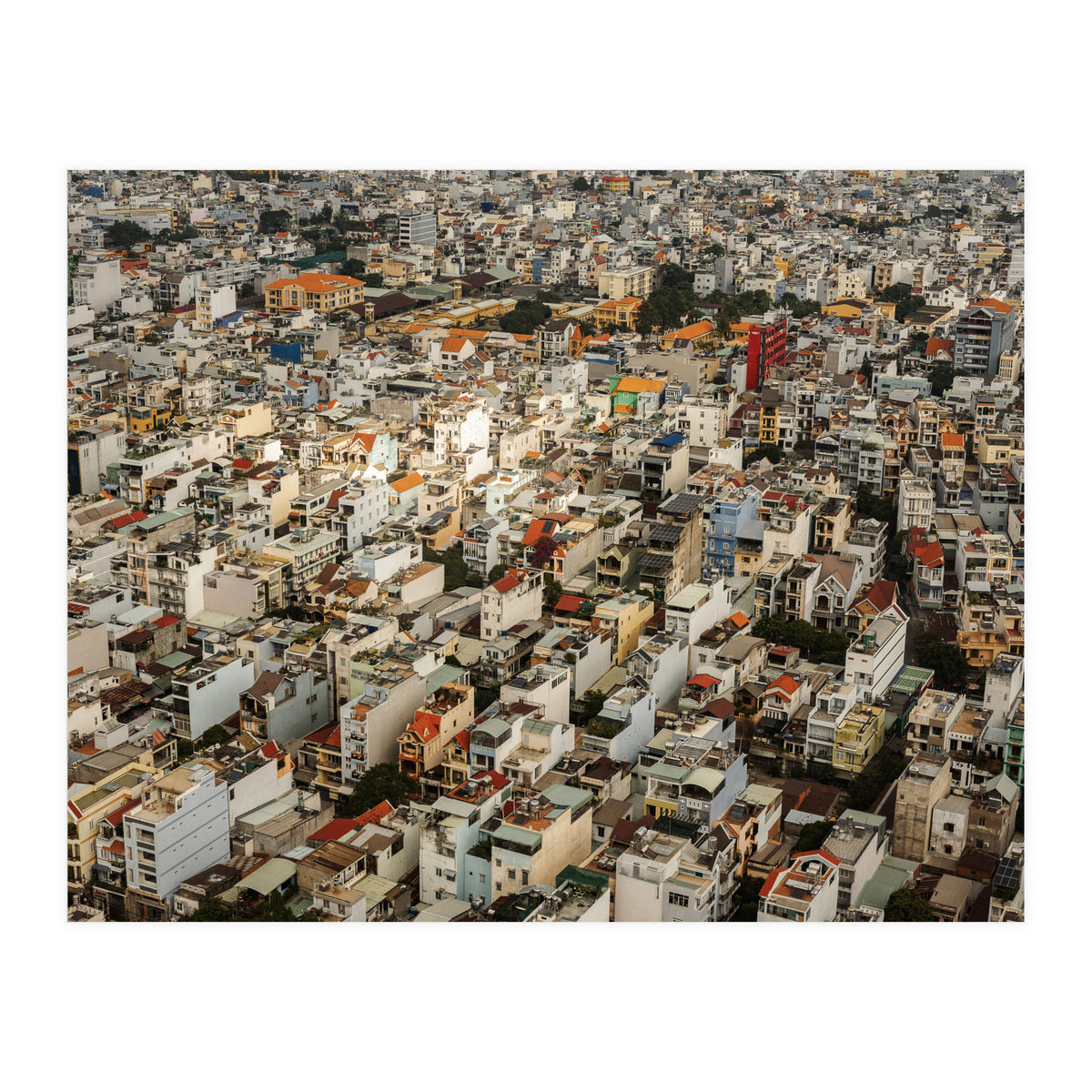 Concrete Jungle (Print Only)