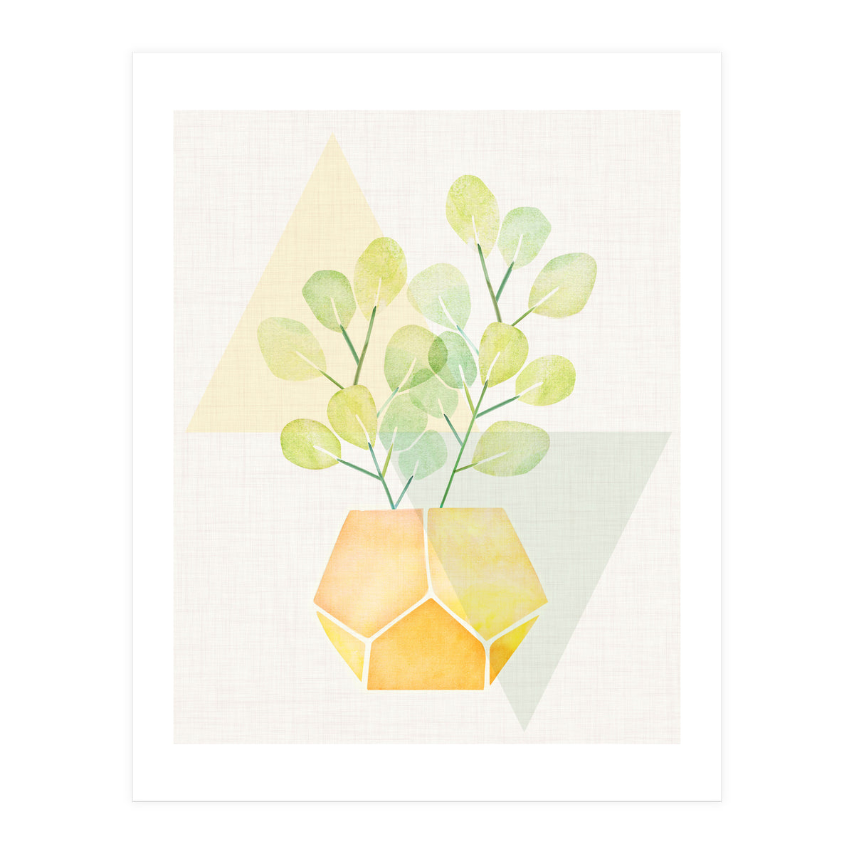 Geometry and House Plant (Print Only)