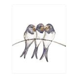 Three young swallows (Print Only) thumbnail