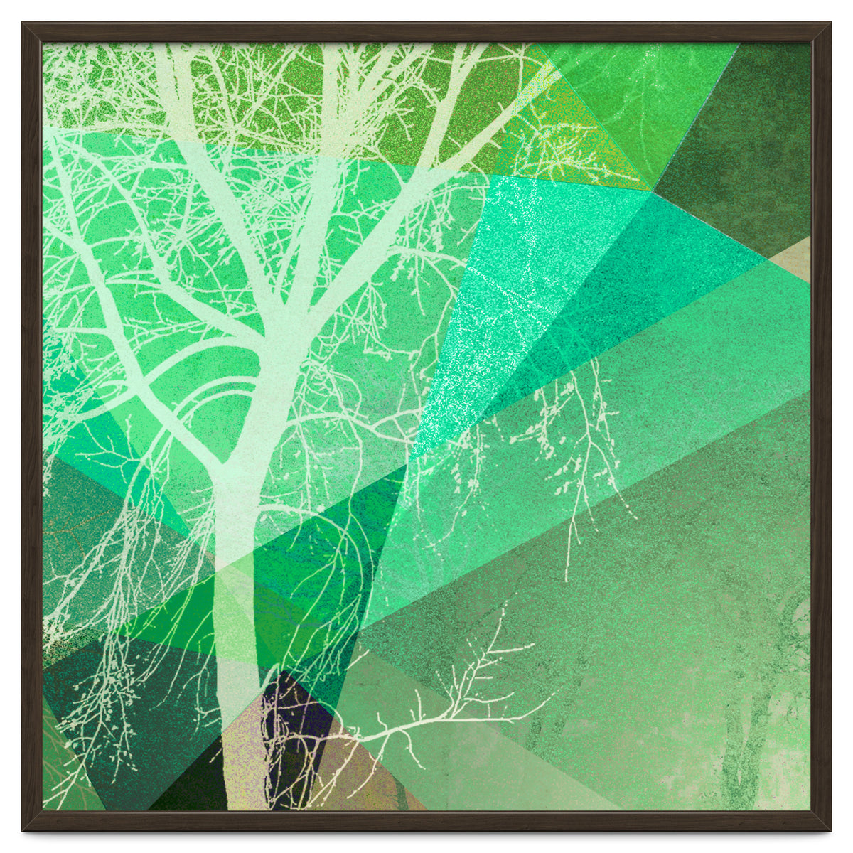 P22-B3 Trees And Triangles