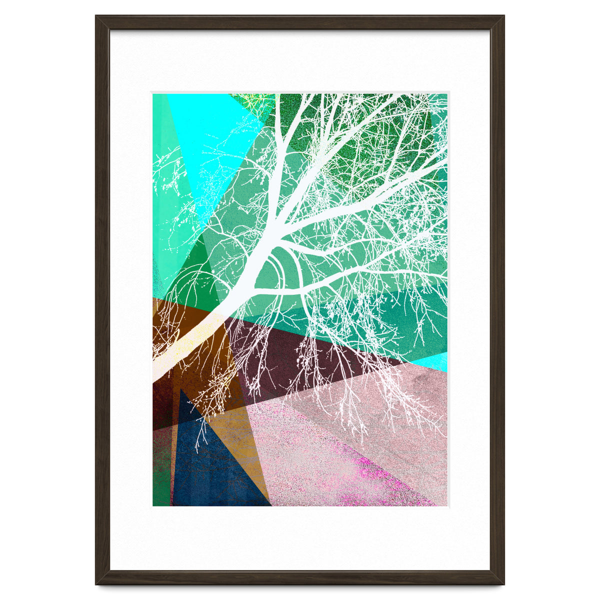 P16-H Trees And Triangles