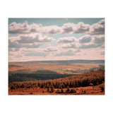 Dartmoor forest (Print Only) thumbnail