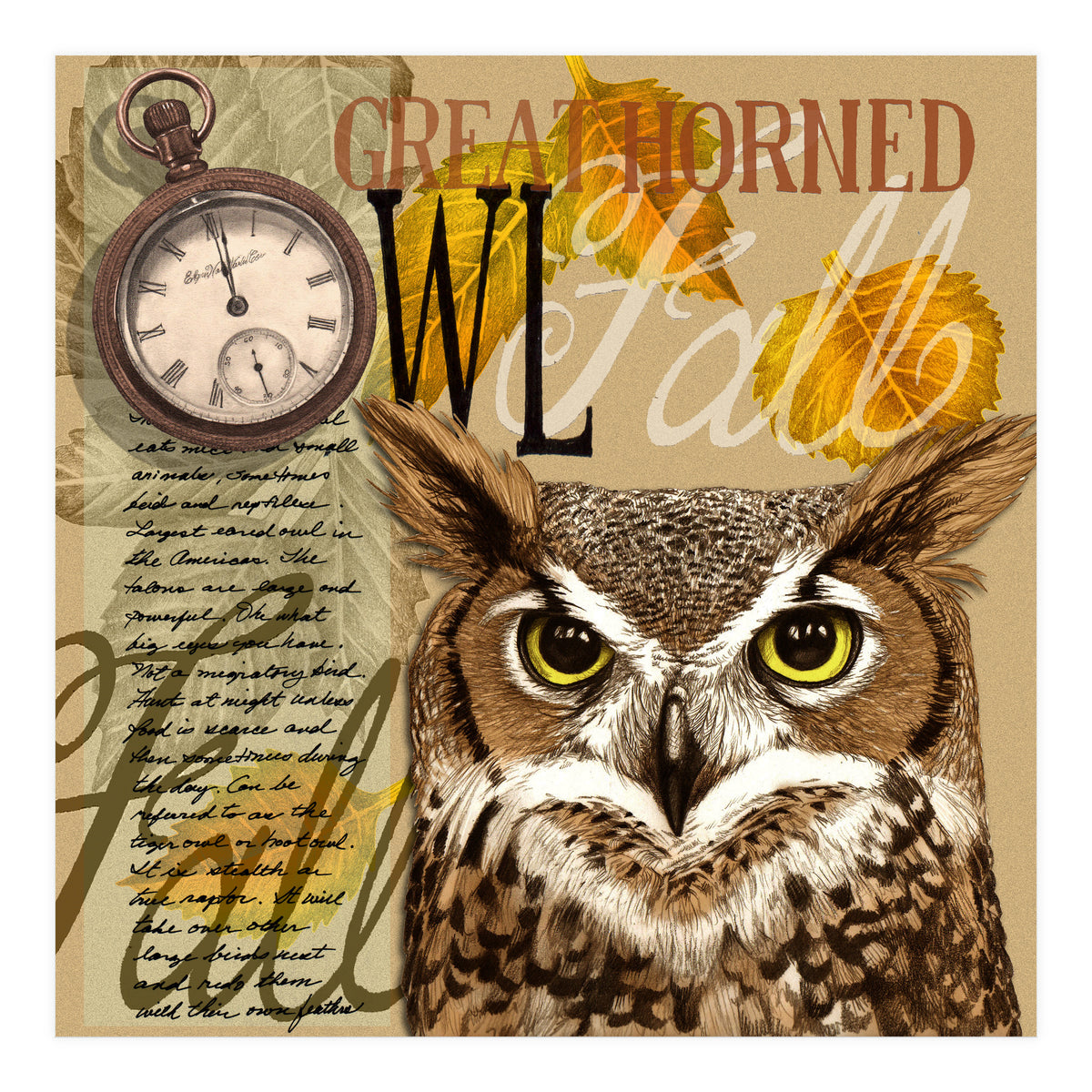 Great Horned Owl (Print Only)