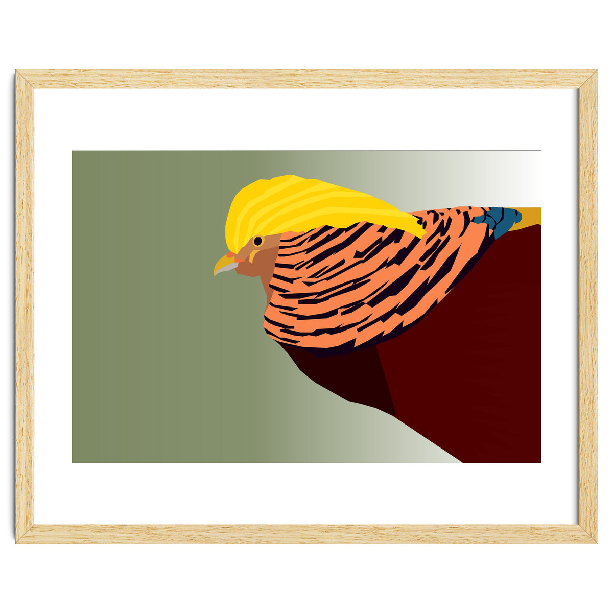 Golden Pheasant Bird Art