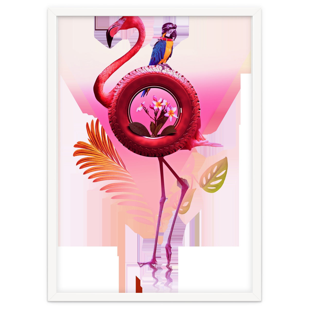Flamingo