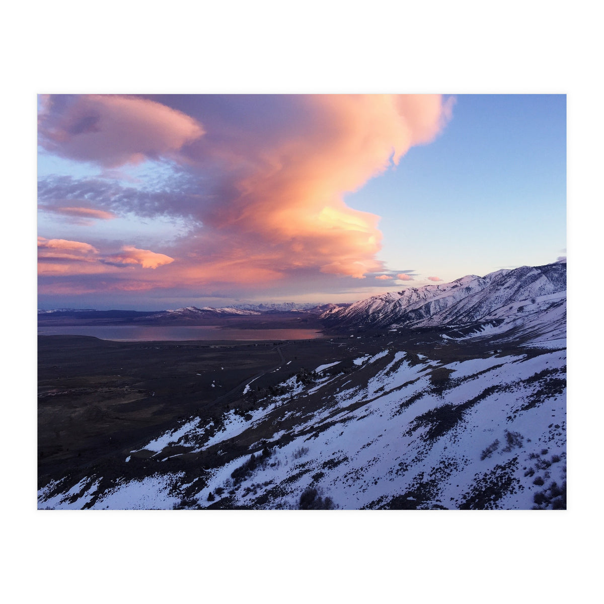 Mammoth (Print Only)