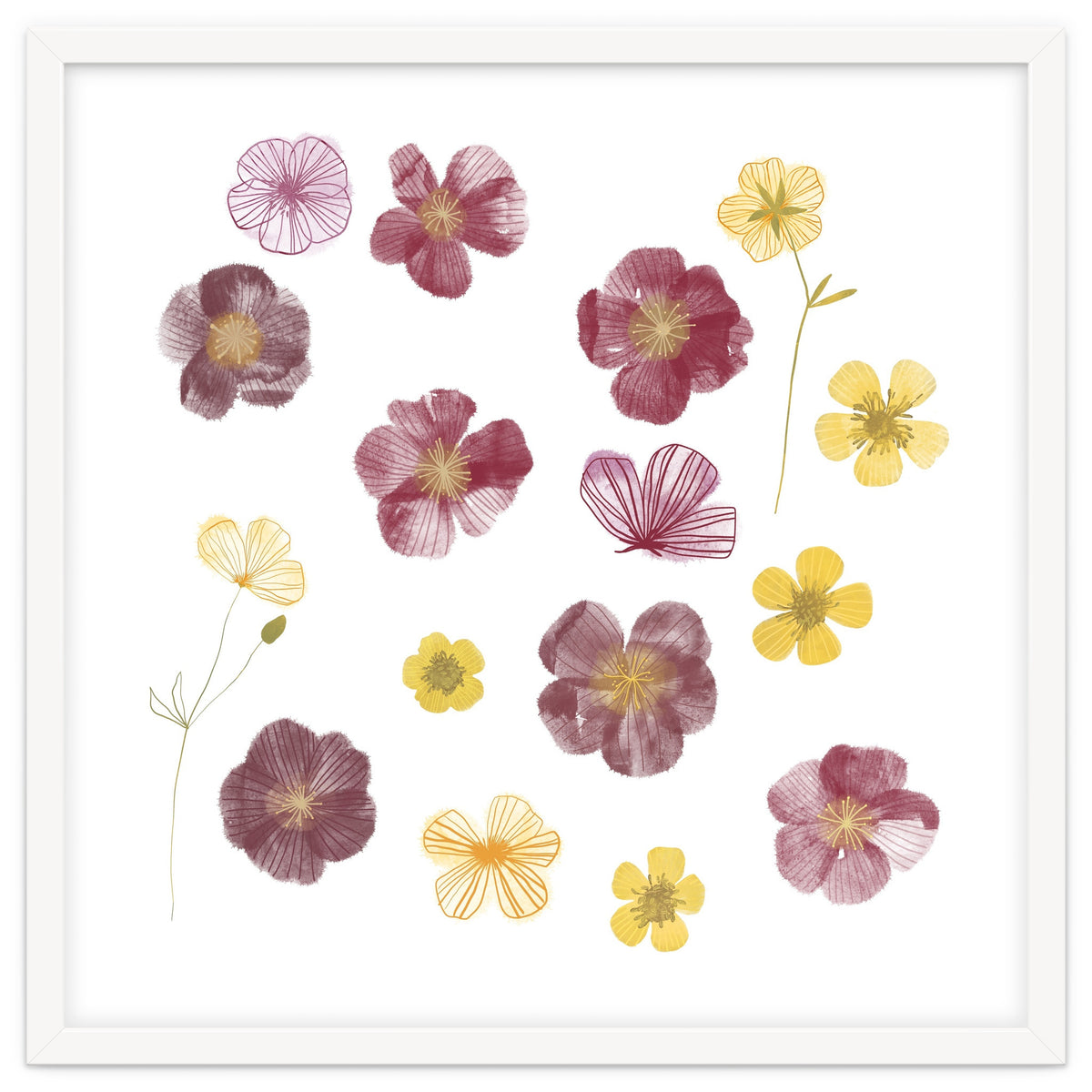 Pressed Flowers