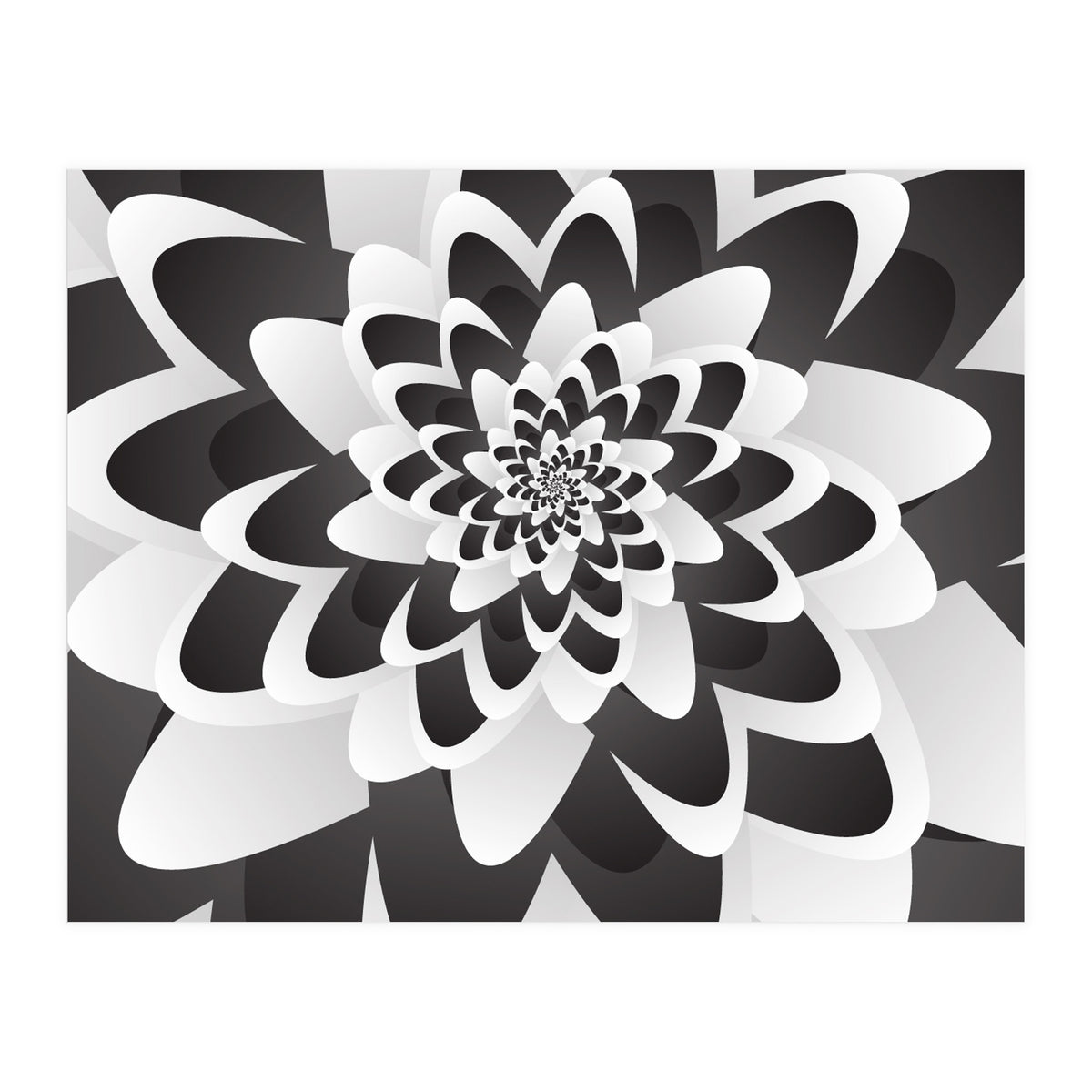 Mono Chrome Flower Spiral   (Print Only)