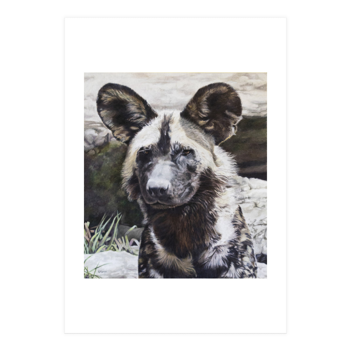 African Painted Dog II (Print Only)