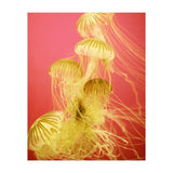 Jelly #7  (Print Only) thumbnail