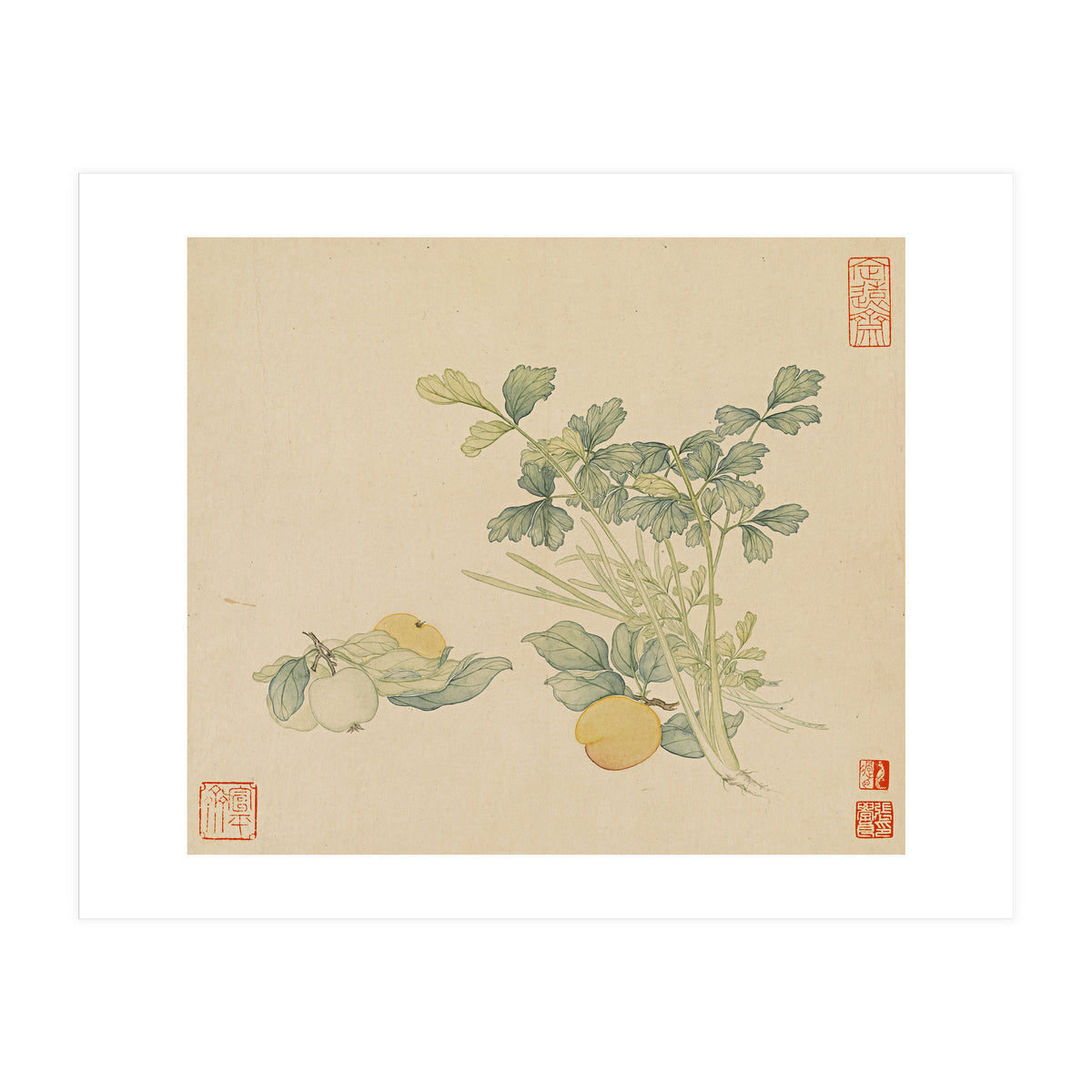 Wang Chengyu~flowers And Vegetables, Vegetables, Fruits, Plums, Apricots, Celery (Print Only)