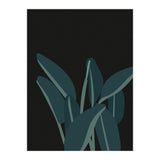 Bird Of Paradise (Print Only) thumbnail