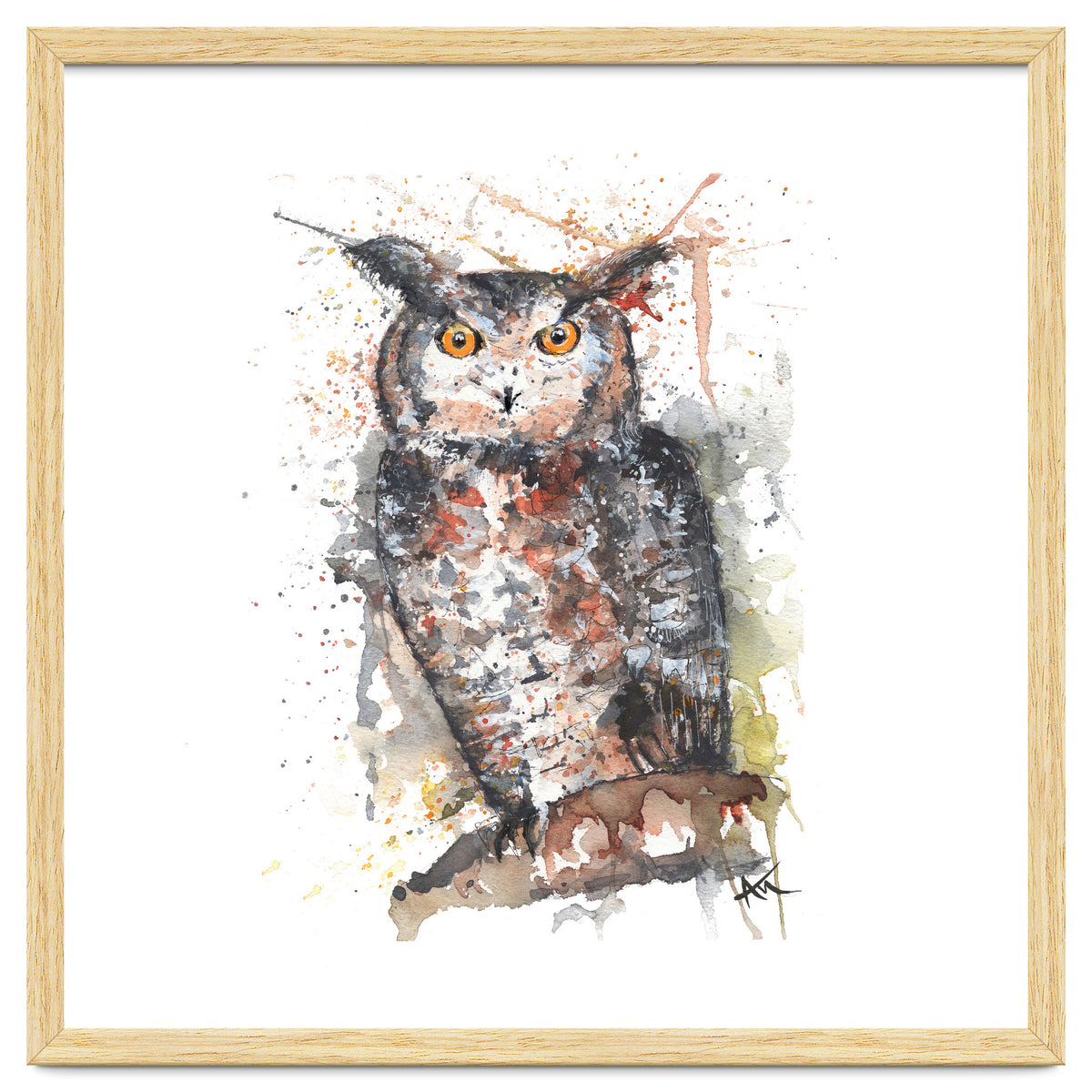 Owl - Wildlife Collection