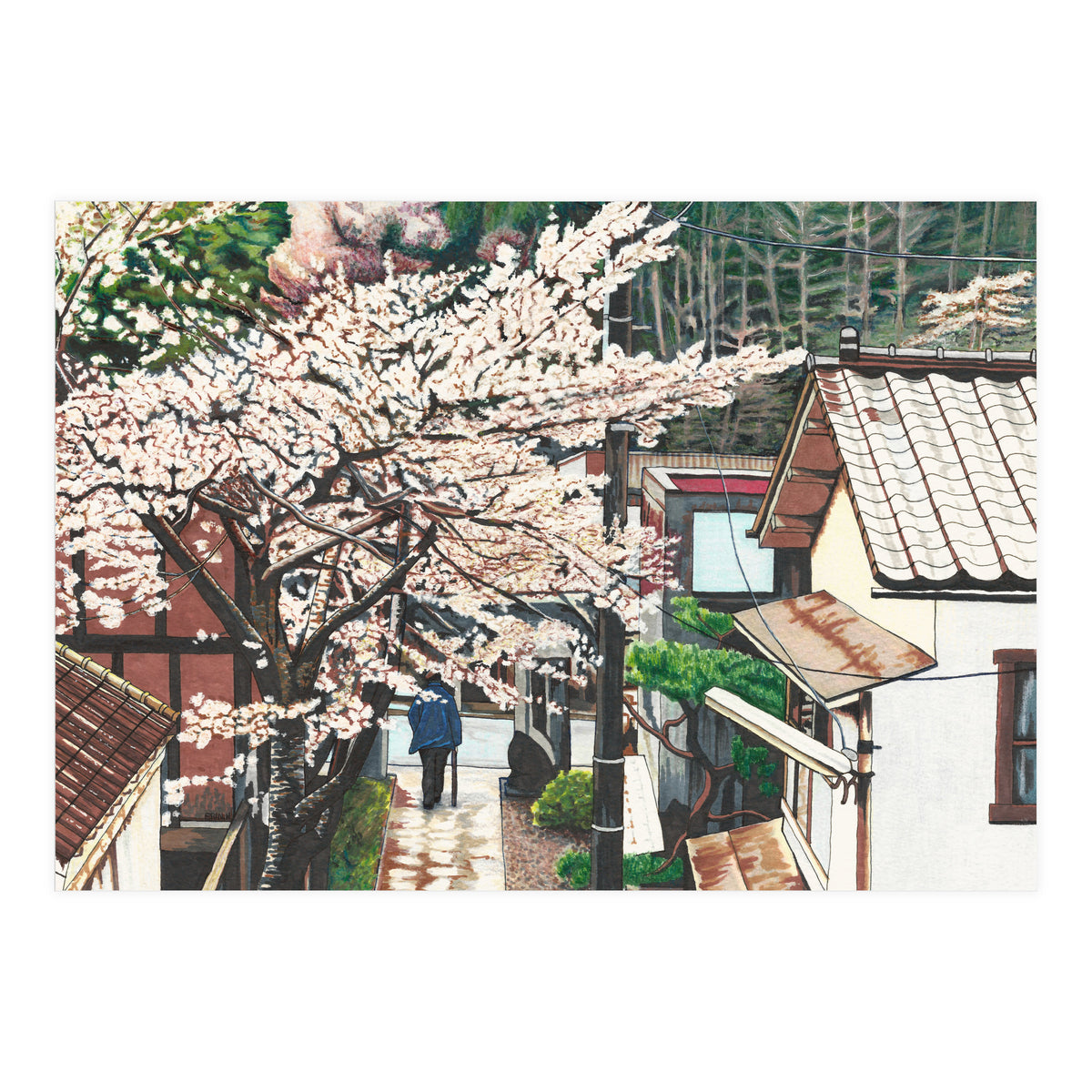 Passing by Cherry Blossoms (Print Only)