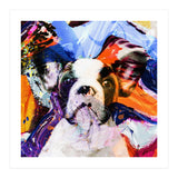 Zycko Color Dog 1 (Print Only) thumbnail