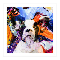 Zycko Color Dog 1 (Print Only)