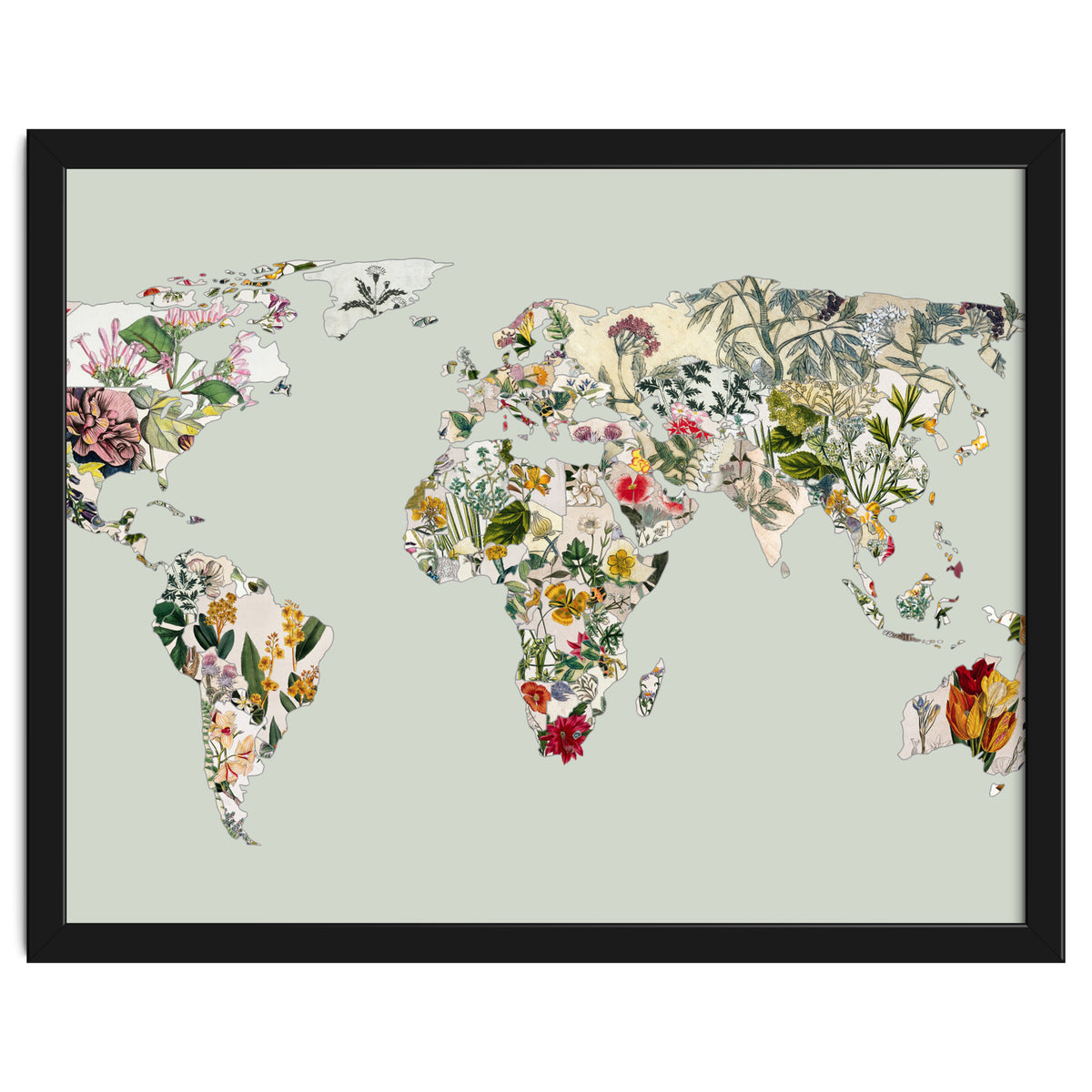 Vintage Botanical Map - Green