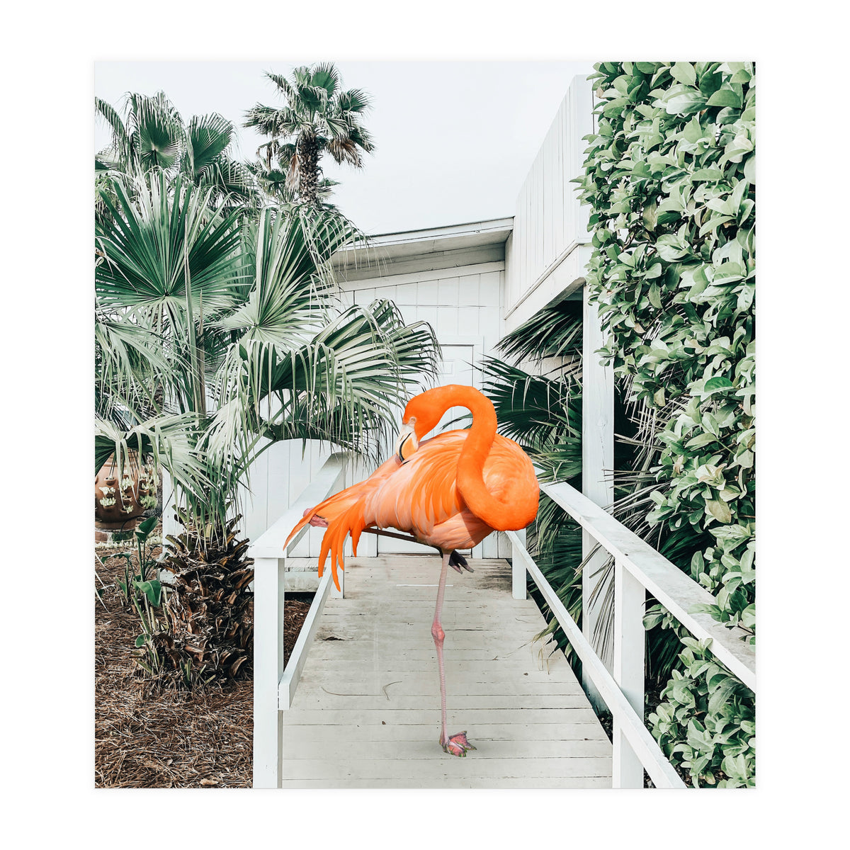 Flamingo Beach House (Print Only)