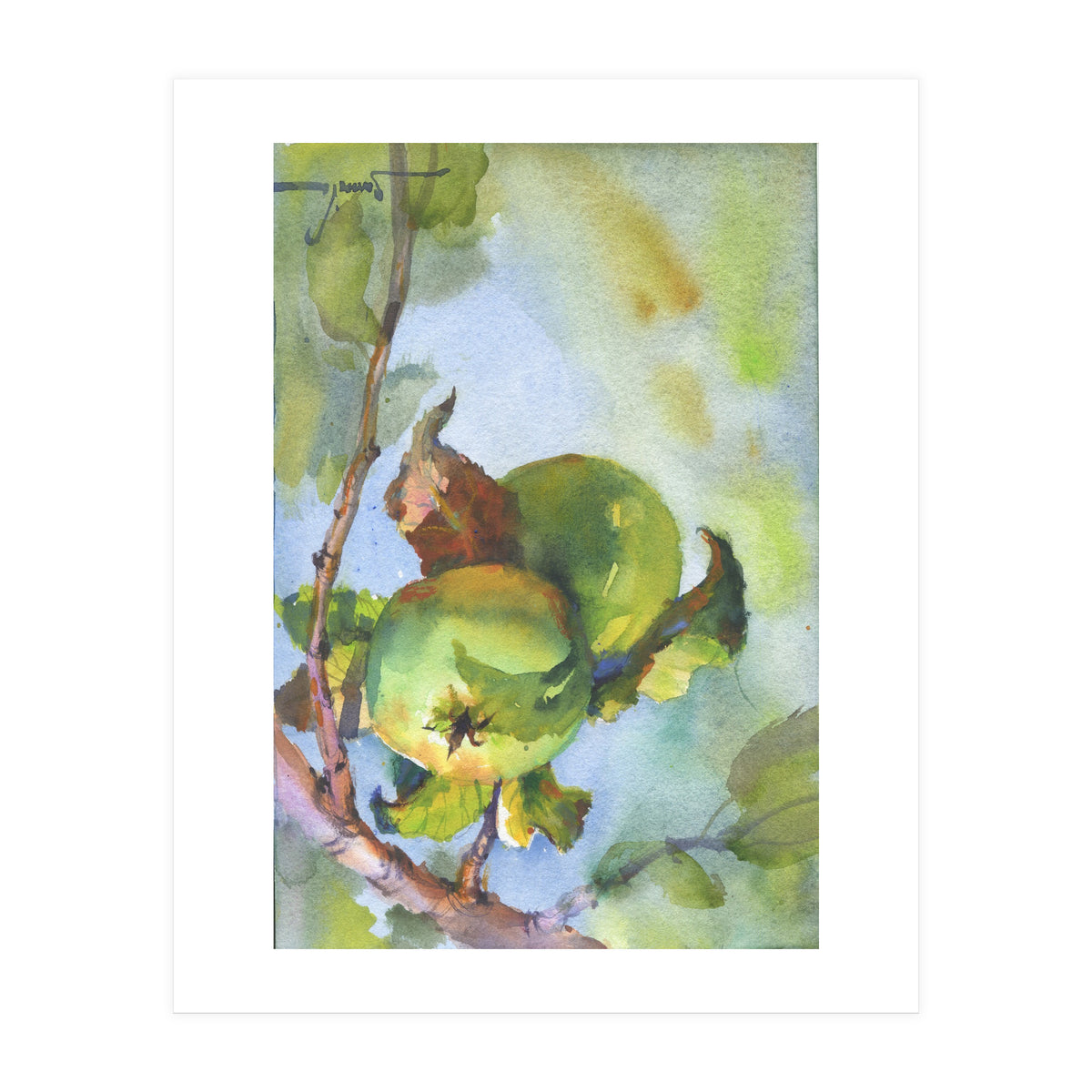 Apples on a branch (Print Only)