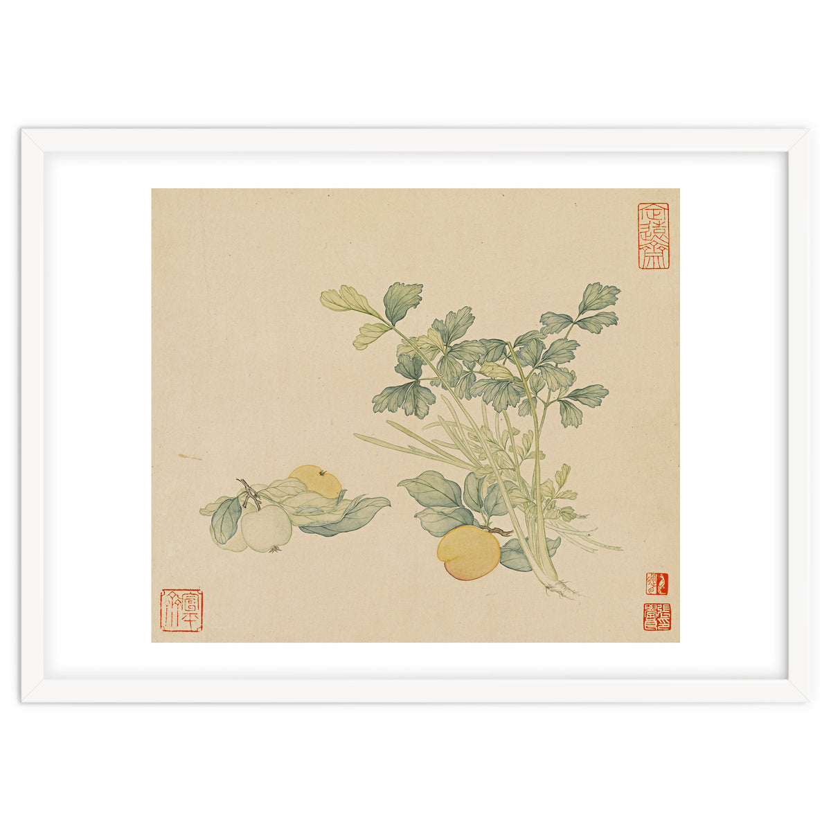 Wang Chengyu~flowers And Vegetables, Vegetables, Fruits, Plums, Apricots, Celery
