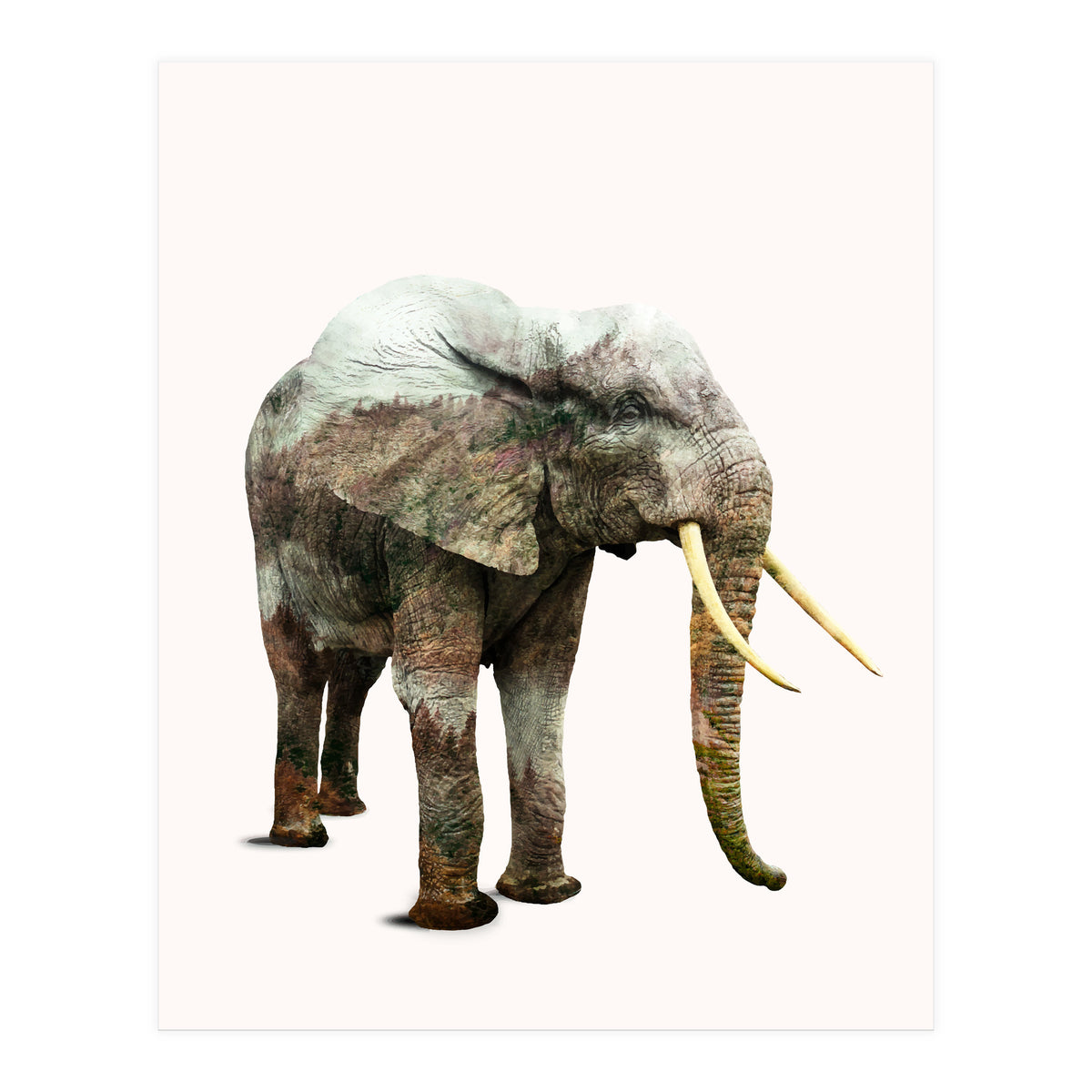 Elephant Transformation (Print Only)