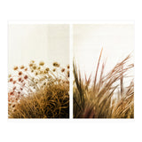 Adagio (Print Only) thumbnail