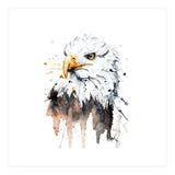 Bald Eagle - Wildlife Collection (Print Only) thumbnail