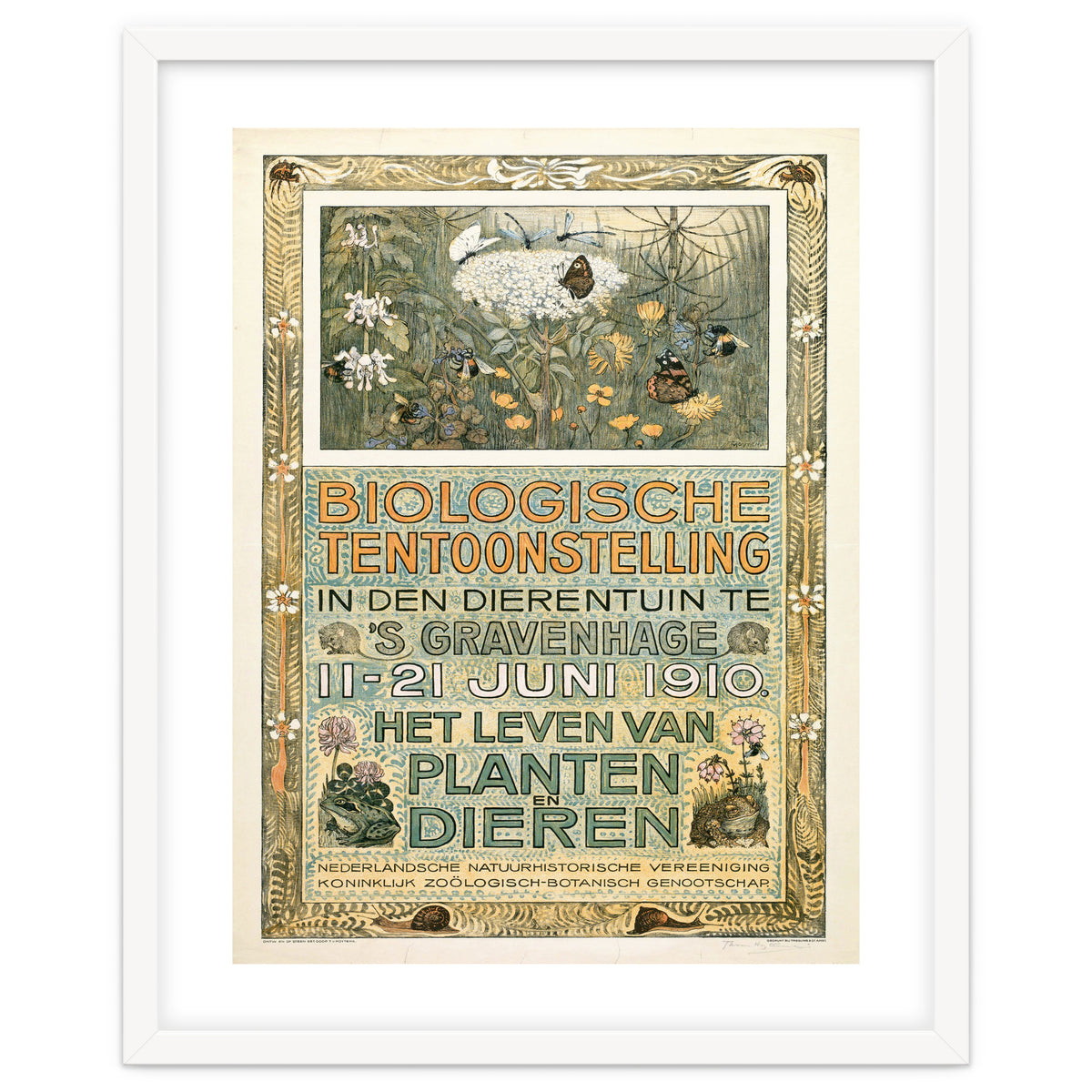 The Biological Exhibition