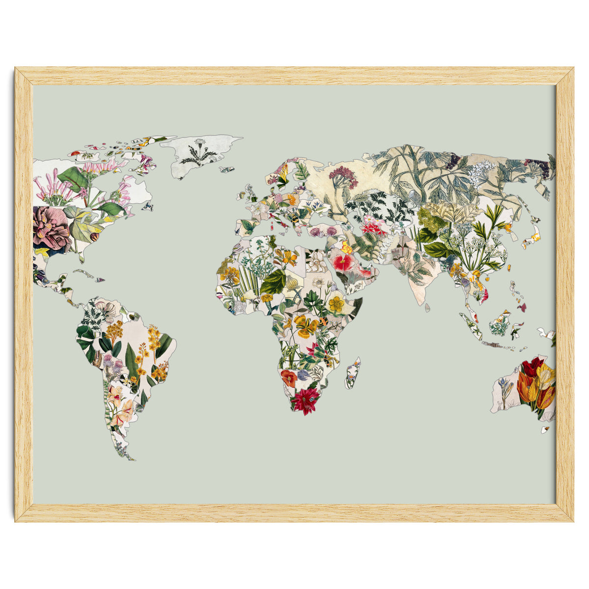 Vintage Botanical Map - Green