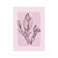 Magnolia Simple Minimal Geometric - Boho Botanical Leave (Print Only)