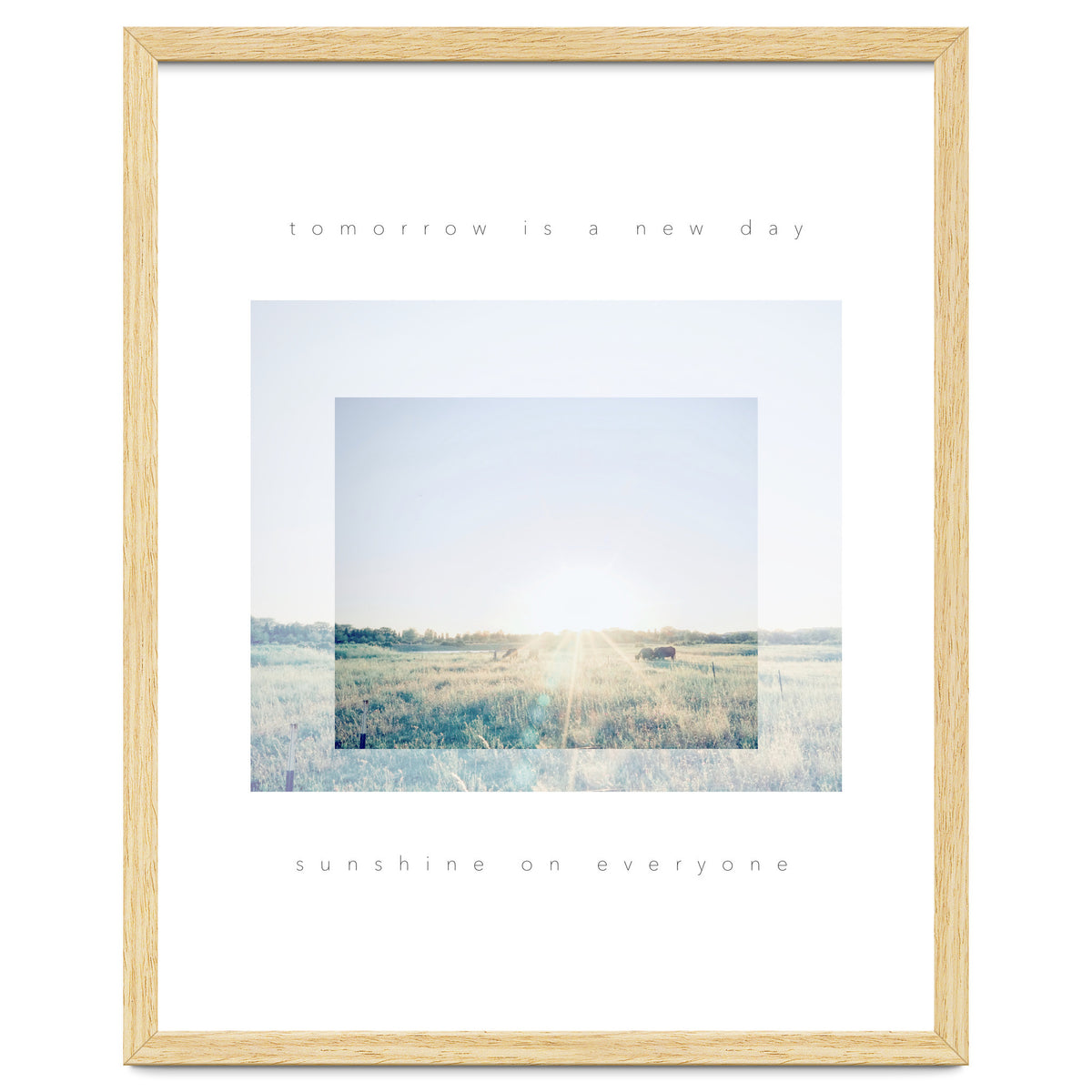 sunshine on everyone