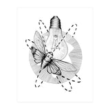 Moth To The Flame (Print Only) thumbnail