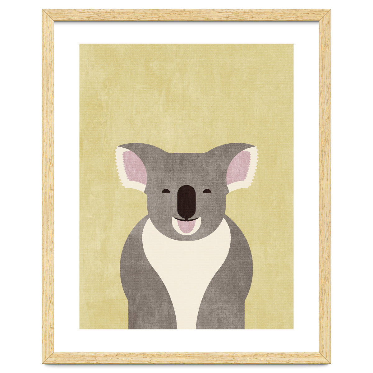 FAUNA / Koala