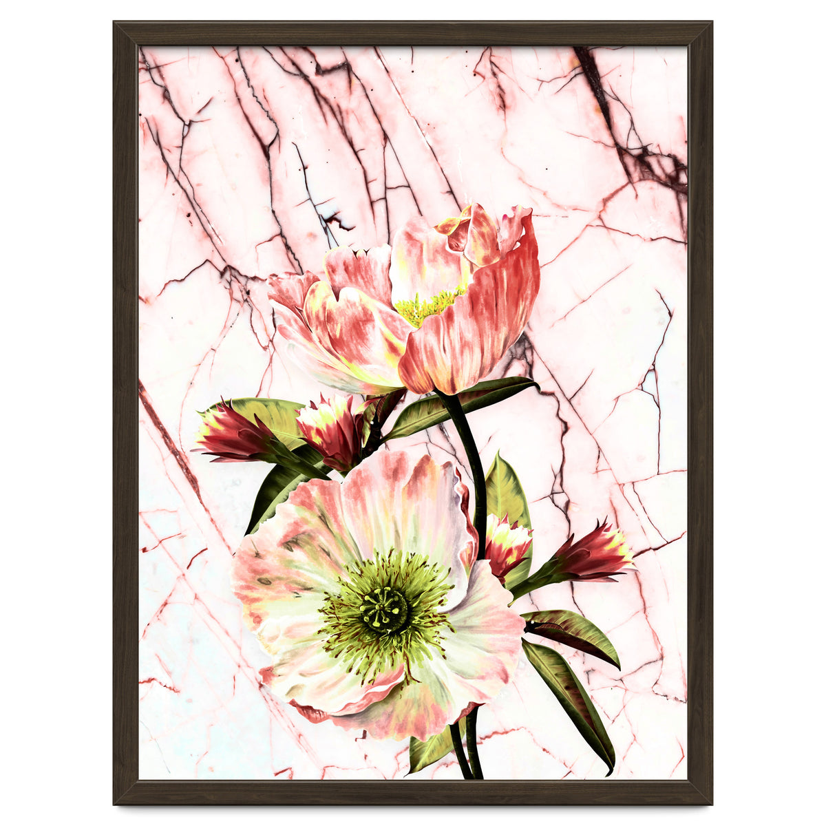 Flowering on pink marble