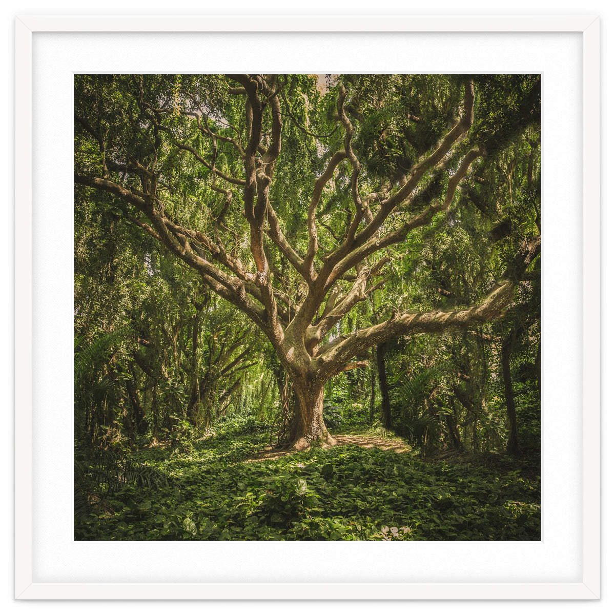 Spirits inside the wood