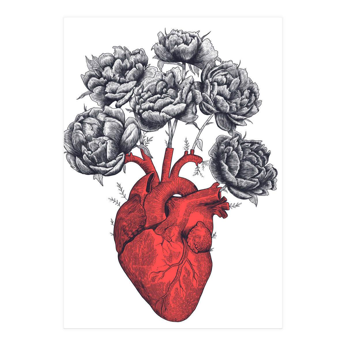 Heart With Peonies (Print Only)