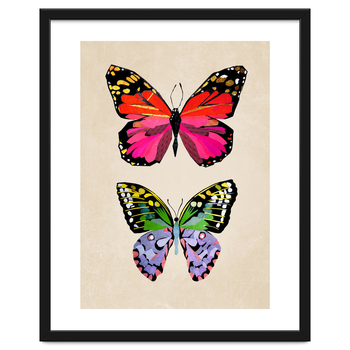Two Butterflies